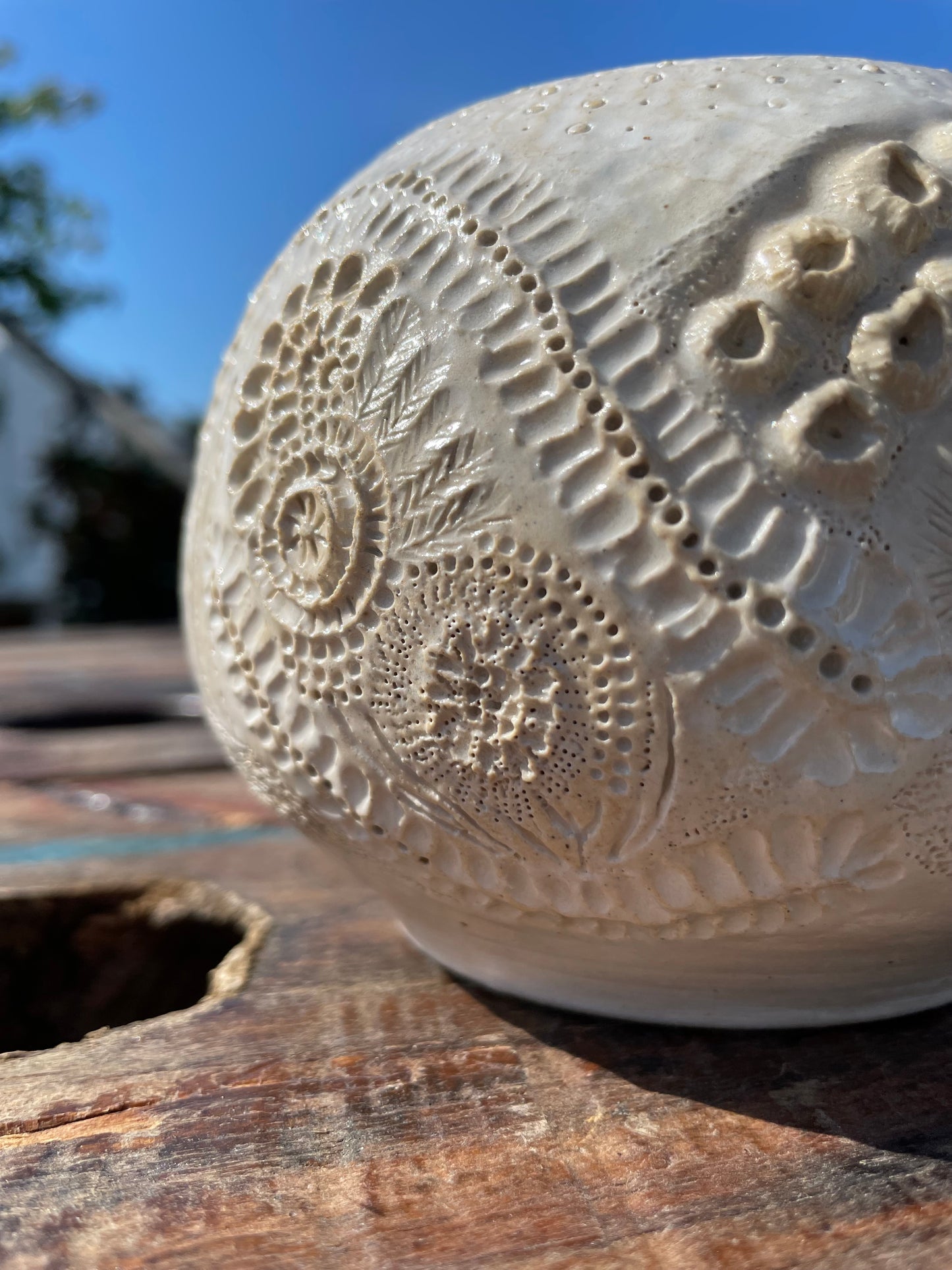 Bleached Reef Vase