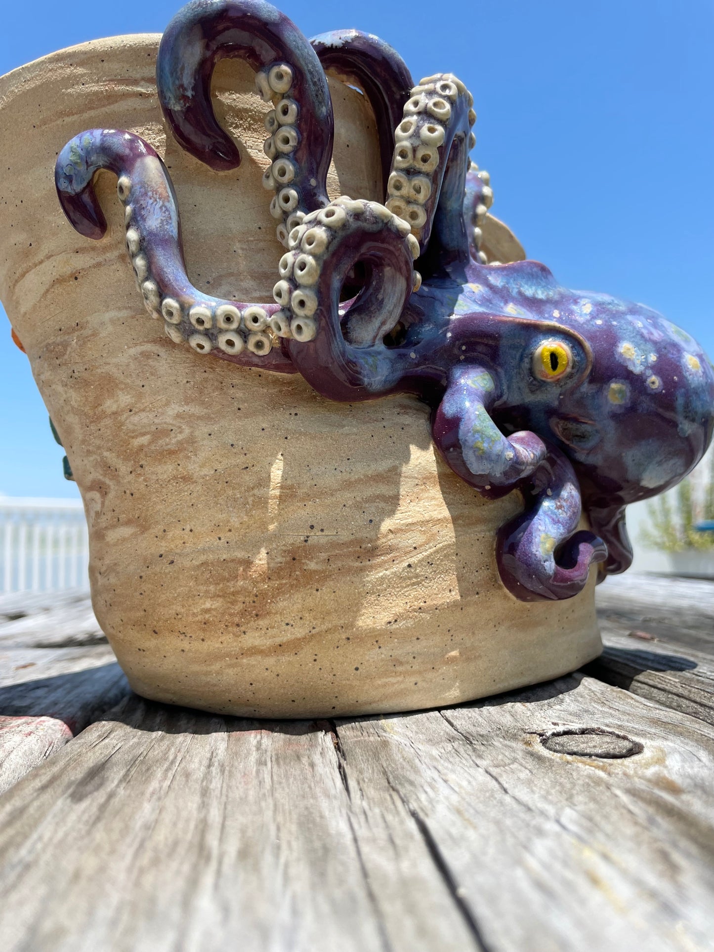 Wide Vase Octopus