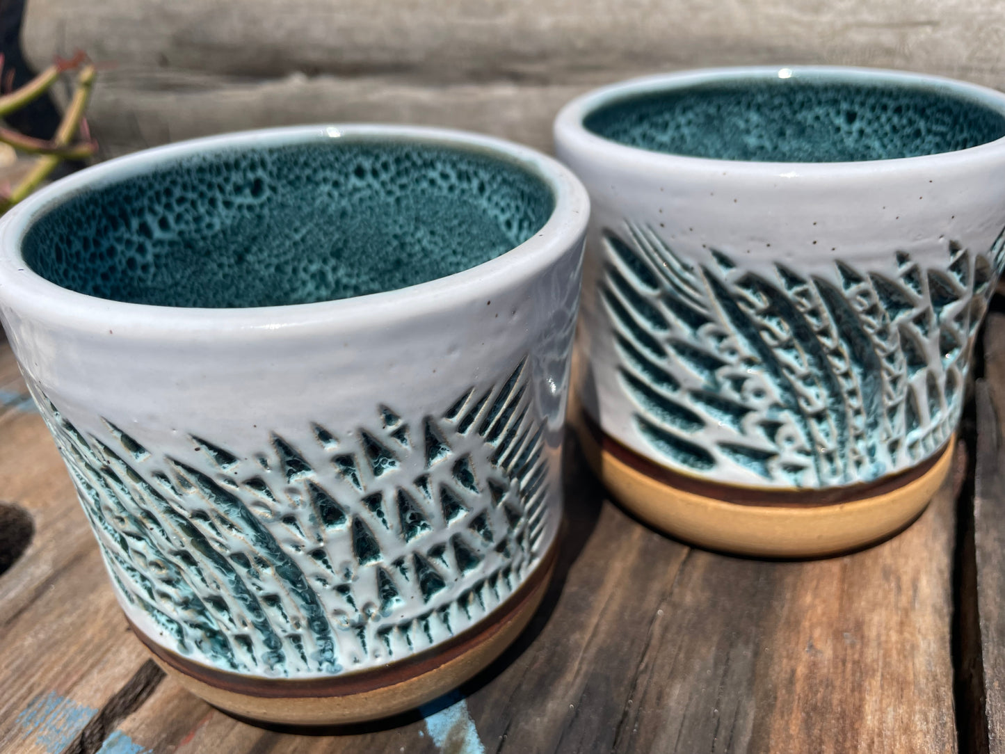 Rainforest Tumblers Set of 2